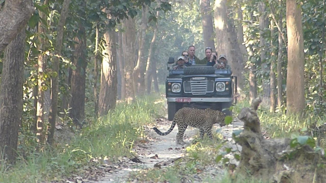 Tiger Tops Karnali Lodge Bardiya Экстерьер фото