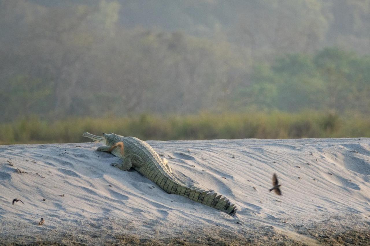 Tiger Tops Karnali Lodge Bardiya Экстерьер фото
